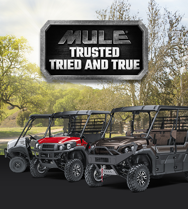 MULE FAMILY: MULE 4010 MULE PRO-FXT RANCH EDITION MULE PRO-MX EPS LE MULE PRO-MX EPS MULE PRO-FXR MULE SX 4X4 XC LE FI SMALL IMAGE