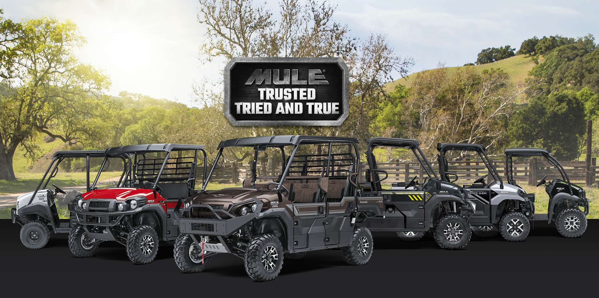 MULE FAMILY: MULE 4010 MULE PRO-FXT RANCH EDITION MULE PRO-MX EPS LE MULE PRO-MX EPS MULE PRO-FXR MULE SX 4X4 XC LE FI