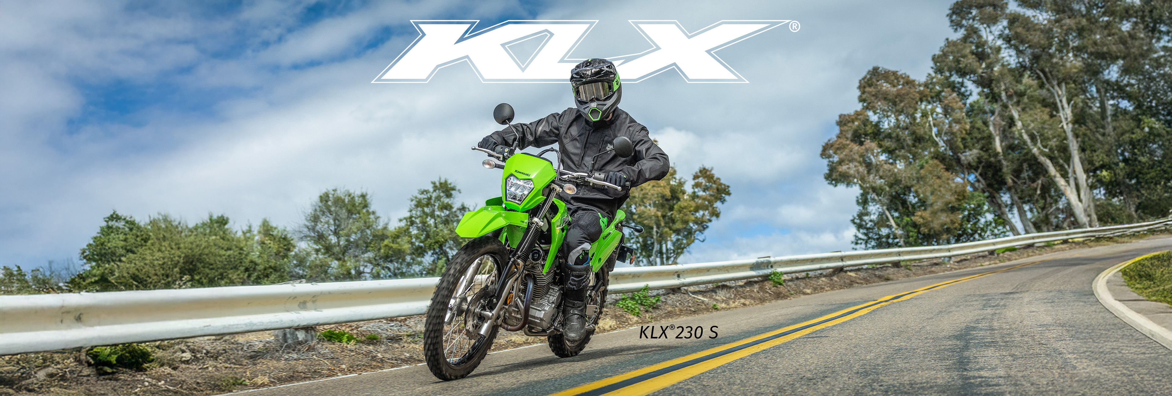 KLX FAMILY: KLX 230 S