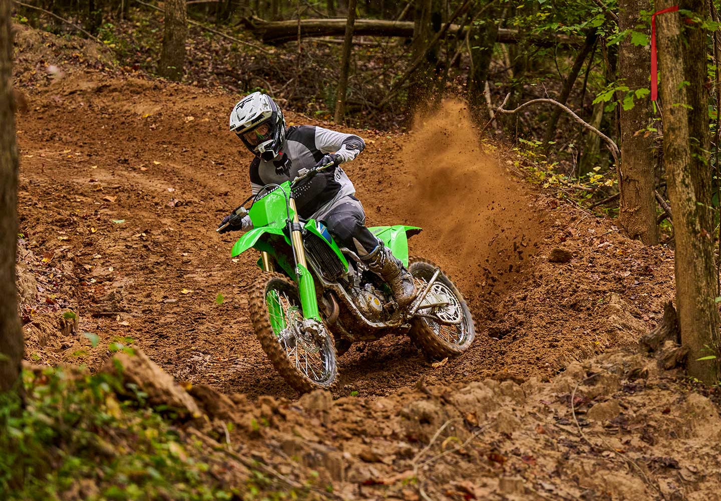 KAWASAKI TERYX: TERYX LE
